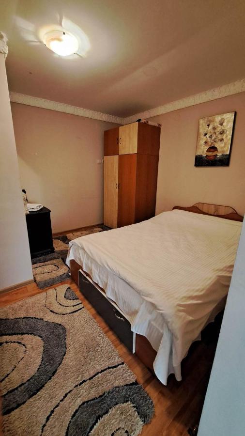 Pensiunea Burciu Salcioara  Bagian luar foto
