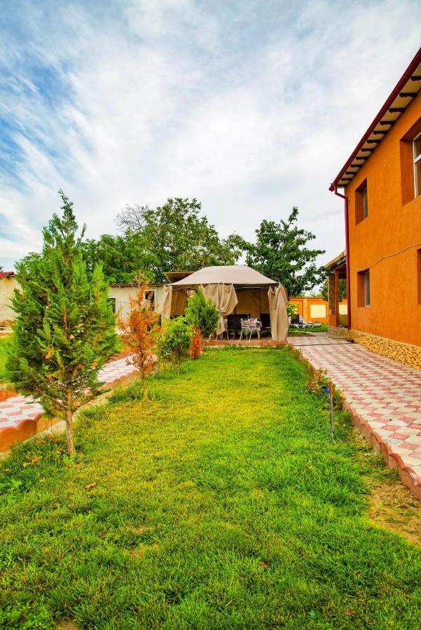 Pensiunea Burciu Salcioara  Bagian luar foto